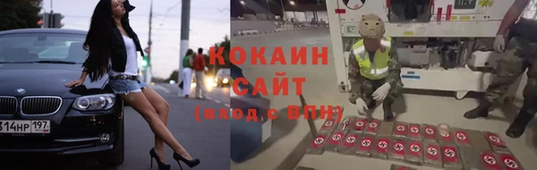 винт Алзамай