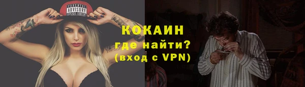 стаф Зерноград