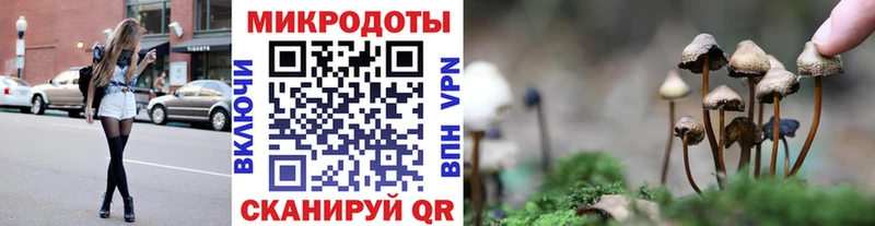 Псилоцибиновые грибы Psilocybine cubensis  хочу наркоту  MEGA   Боготол 